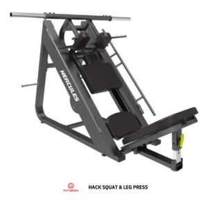HACK SQUAT & LEG PRESS