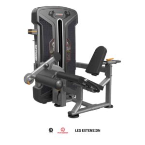 LEG EXTENSION